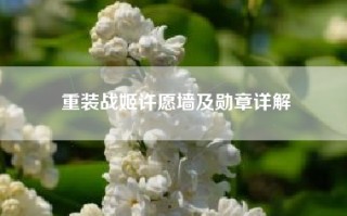 重装战姬许愿墙及勋章详解