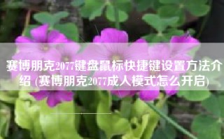 赛博朋克2077键盘鼠标快捷键设置方法介绍 (赛博朋克2077成人模式怎么开启)