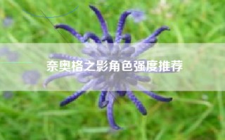 奈奥格之影角色强度推荐