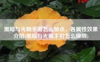 黑暗与光明手游怎么加点，各属性效果介绍(黑暗与光明手游怎么换绑)
