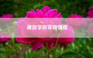 魂器学院菲娅强度