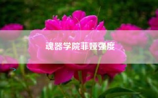 魂器学院菲娅强度