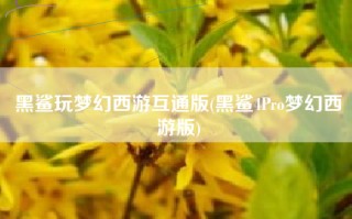 黑鲨玩梦幻西游互通版(黑鲨4Pro梦幻西游版)