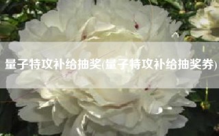 量子特攻补给抽奖(量子特攻补给抽奖券)