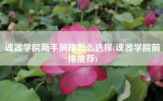 魂器学院新手前排怎么选择(魂器学院前排推荐)