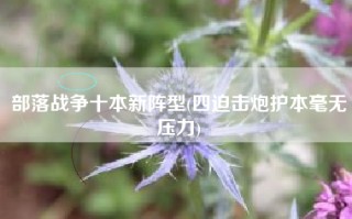 部落战争十本新阵型(四迫击炮护本毫无压力)