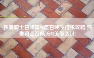独奏骑士召唤流93层召唤飞行虫攻略(独奏骑士召唤流93关怎么过)