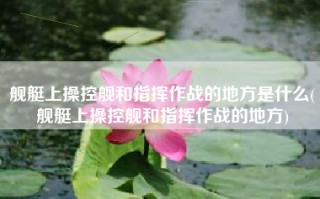 舰艇上操控舰和指挥作战的地方是什么(舰艇上操控舰和指挥作战的地方)