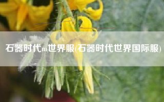 石器时代m世界服(石器时代世界国际服)