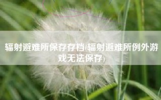 辐射避难所保存存档(辐射避难所例外游戏无法保存)