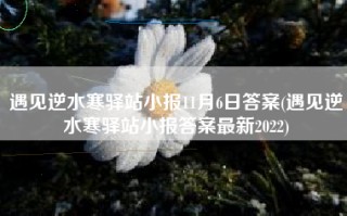 遇见逆水寒驿站小报11月6日答案(遇见逆水寒驿站小报答案最新2022)