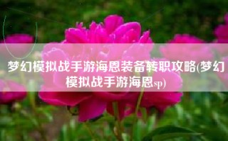 梦幻模拟战手游海恩装备转职攻略(梦幻模拟战手游海恩sp)