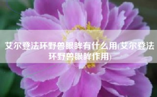 艾尔登法环野兽眼眸有什么用(艾尔登法环野兽眼眸作用)