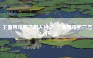 王者荣耀妲己蹲人铭文_王者荣耀妲己怎么蹲草丛