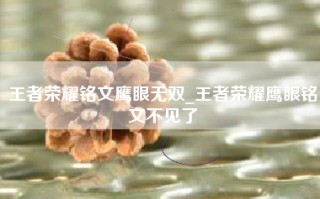 王者荣耀铭文鹰眼无双_王者荣耀鹰眼铭文不见了