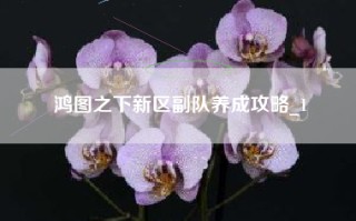 鸿图之下新区副队养成攻略_1