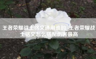 王者荣耀战士铭文通用谁的_王者荣耀战士铭文怎么搭配伤害最高