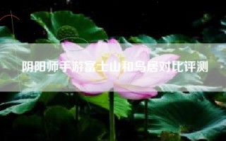 阴阳师手游富士山和鸟居对比评测