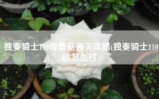 独奏骑士110毒蘑菇通关攻略(独奏骑士110层怎么过)