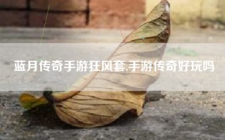 蓝月传奇手游狂风套,手游传奇好玩吗