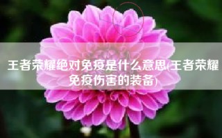 王者荣耀绝对免疫是什么意思(王者荣耀免疫伤害的装备)