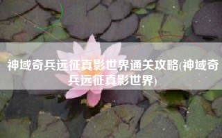 神域奇兵远征真影世界通关攻略(神域奇兵远征真影世界)