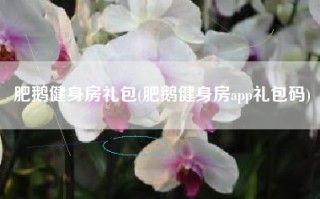 肥鹅健身房礼包(肥鹅健身房app礼包码)