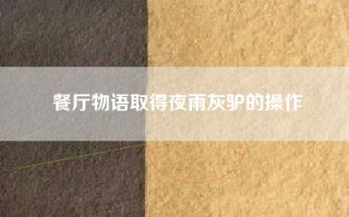 餐厅物语取得夜雨灰驴的操作