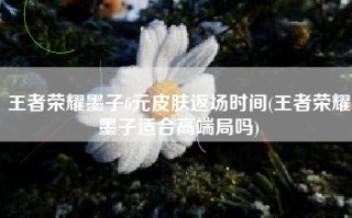 王者荣耀墨子6元皮肤返场时间(王者荣耀墨子适合高端局吗)