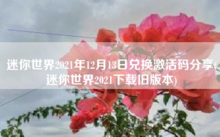 迷你世界2021年12月13日兑换激活码分享(迷你世界2021下载旧版本)