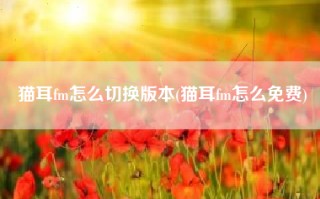 猫耳fm怎么切换版本(猫耳fm怎么免费)