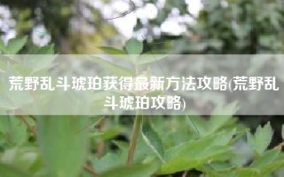 荒野乱斗琥珀获得最新方法攻略(荒野乱斗琥珀攻略)