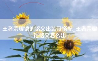王者荣耀铠的铭文出装及搭配_王者荣耀铠铭文怎么出