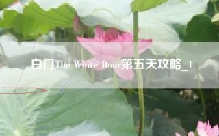 白门The White Door第五天攻略_1