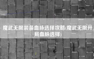 魔武无限装备血脉选择攻略(魔武无限开局血脉选择)