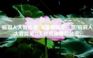 脑洞人大冒险第7关攻略图文一览(脑洞人大冒险第13关找到鱼塘的秘密)