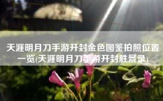 天涯明月刀手游开封金色图鉴拍照位置一览(天涯明月刀手游开封胜景录)
