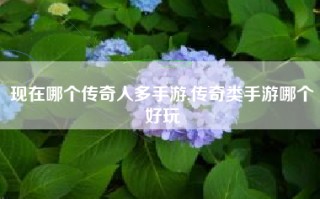 现在哪个传奇人多手游,传奇类手游哪个好玩