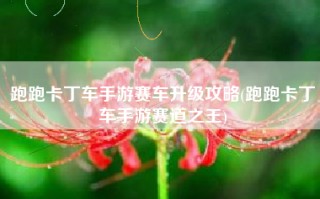 跑跑卡丁车手游赛车升级攻略(跑跑卡丁车手游赛道之王)