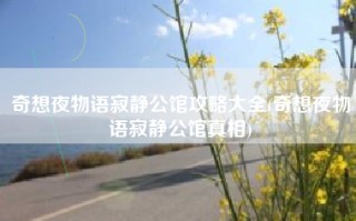 奇想夜物语寂静公馆攻略大全(奇想夜物语寂静公馆真相)