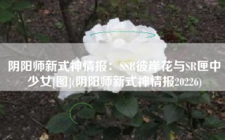 阴阳师新式神情报：SSR彼岸花与SR匣中少女[图](阴阳师新式神情报20226)