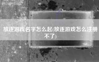 放逐游戏名字怎么起(放逐游戏怎么注册不了)