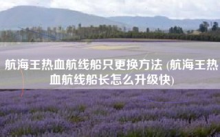 航海王热血航线船只更换方法 (航海王热血航线船长怎么升级快)