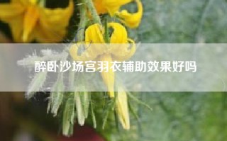 醉卧沙场宫羽衣辅助效果好吗