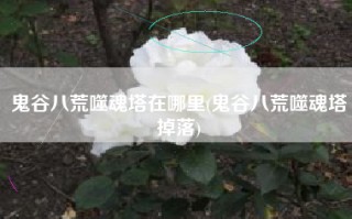 鬼谷八荒噬魂塔在哪里(鬼谷八荒噬魂塔掉落)