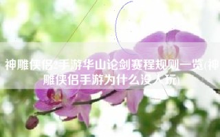 神雕侠侣2手游华山论剑赛程规则一览(神雕侠侣手游为什么没人玩)