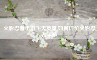 火影忍者手游飞天英雄,如何评价火影忍者手游