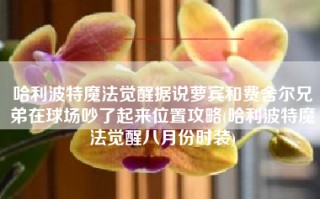 哈利波特魔法觉醒据说萝宾和费舍尔兄弟在球场吵了起来位置攻略(哈利波特魔法觉醒八月份时装)