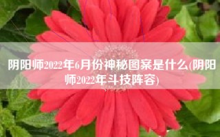 阴阳师2022年6月份神秘图案是什么(阴阳师2022年斗技阵容)