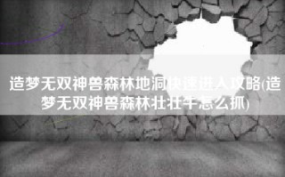 造梦无双神兽森林地洞快速进入攻略(造梦无双神兽森林壮壮牛怎么抓)